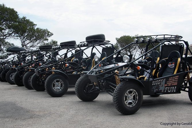 Cala Millor: Mega Buggy Tours Also in Sa Coma - Pickup and Meeting Points