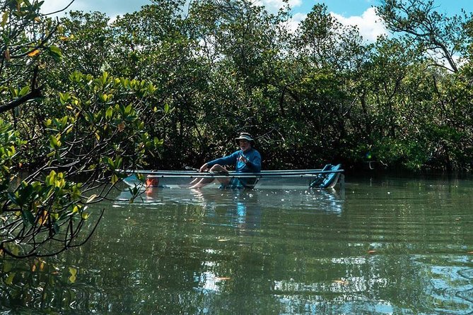 Clear Kayak Tours in Fort Pierce - Wildlife Sightings and Environmental Awareness