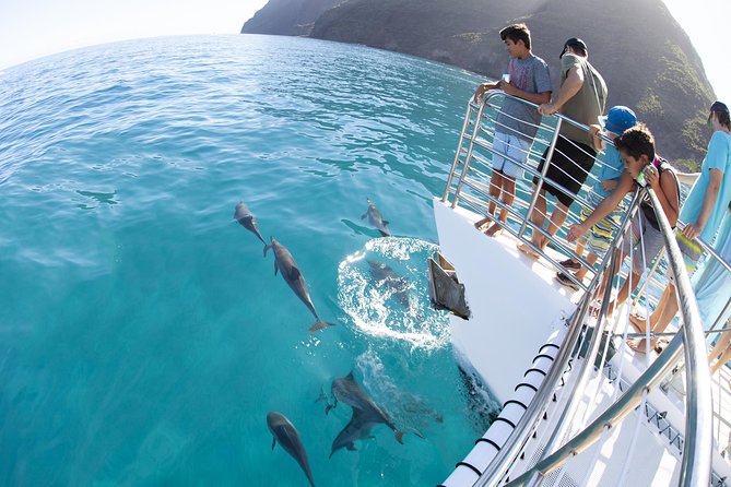 Deluxe Na Pali Morning Snorkel Tour on the Lucky Lady - Important Considerations