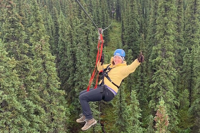 Denali Park Zipline Adventure - Absorbing the Scenic Splendor of Denalis Boreal Forest