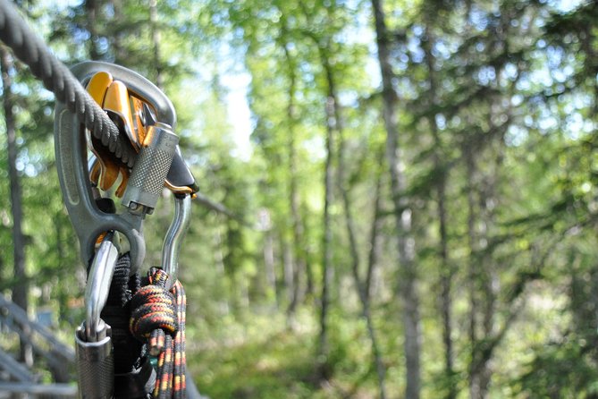 Denali Zipline Tour in Talkeetna, AK - Stunning Views of the Alaskan Wilderness