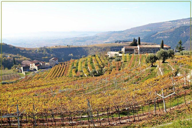 Discover Valpolicella Vineyards and Wine Tasting Experience - Accessibility and Group Size