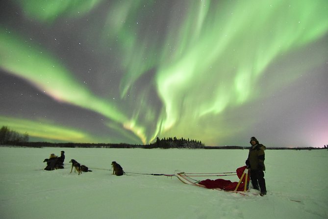 Dog Sledding and Mushing Experience in North Pole - Accessibility and Requirements