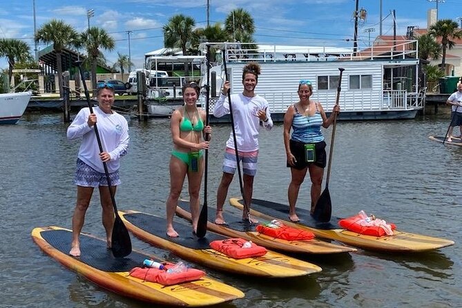 Dolphin and Manatee Stand Up Paddleboard Tour in Daytona Beach - What to Expect