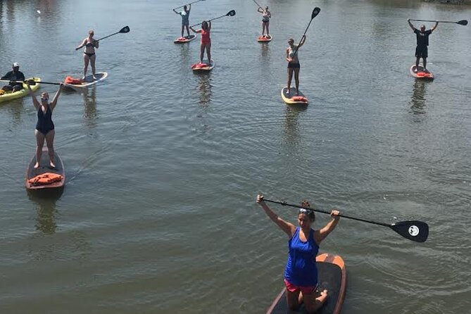 Dolphin, Manatee and SeaTurtle SUP Adventure Tour of St Augustine - Kayak or Paddleboard Experience