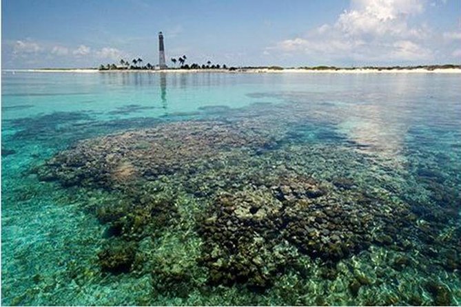 Dry Tortugas National Park Day Trip by Catamaran From Key West - Snorkeling Opportunities and Marine Life