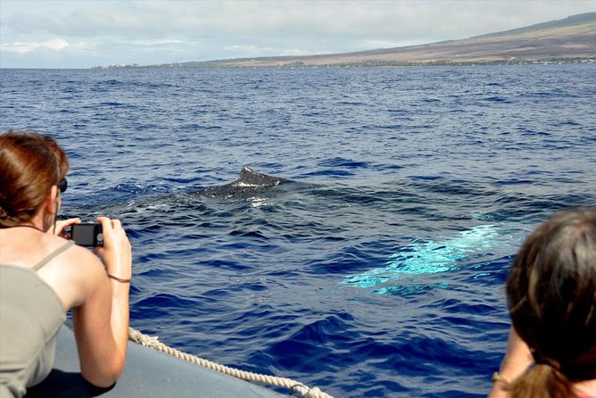 Eye-Level Whale Watching Eco-Raft Tour From Lahaina - Safety and Accessibility