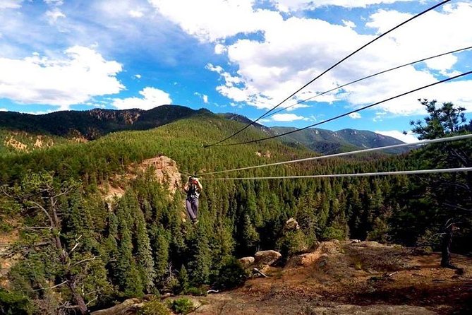 Fins Course Scenic Zipline Tour - Professional Guides and Expertise