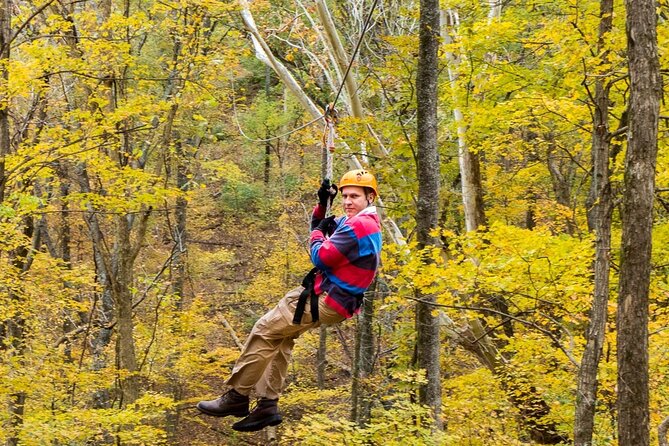 Fontanel Zipline Forest Adventure at Nashville North - Pricing and Booking Information