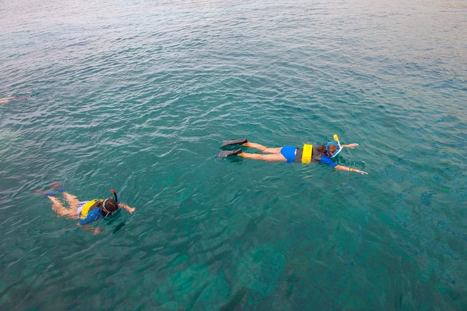 Four Winds Molokini Snorkeling Tour From Maalaea Harbor - Safety and Accessibility