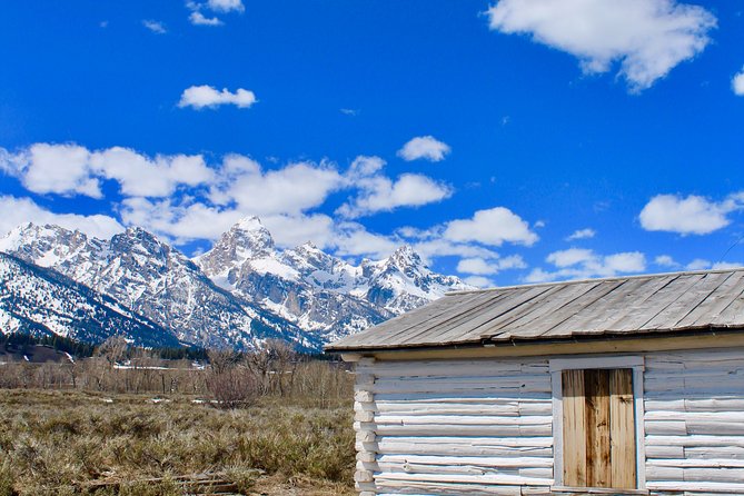 Grand Teton Half Day Tour - Tour Experience