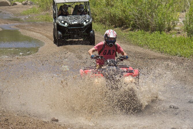 Guided Arizona Desert Tour by ATV - Centipede Tour - Customer Reviews and Feedback