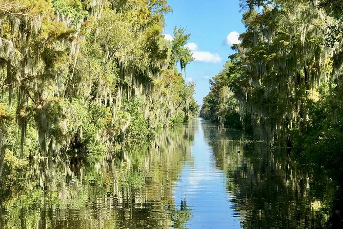 Guided Boat Tour of New Orleans Bayou and Wildlife - Boat Ride Through Marshes