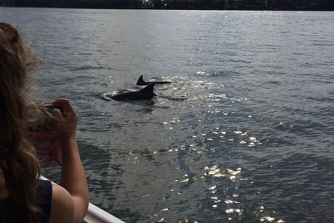 Hilton Head Island Dolphin Boat Cruise - Accommodating Families and Groups