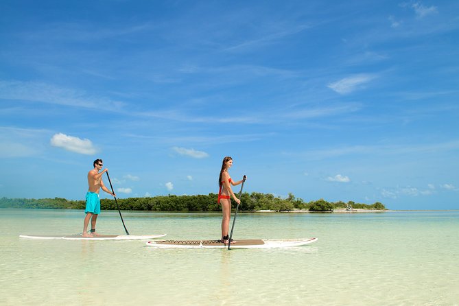 Island Adventure Eco Tour – Explore Key West's Hidden Backcountry - Guest Feedback and Experiences