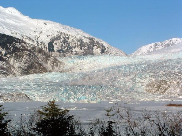 Juneau Wildlife Whale Watching & Mendenhall Glacier - Accessibility and Accommodations