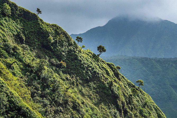 Kauai Eco Adventure Helicopter Tour - Transportation and Booking