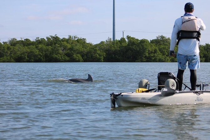 Kayak Tour Adventure Marco Island and Naples Florida - Equipment and Safety Considerations