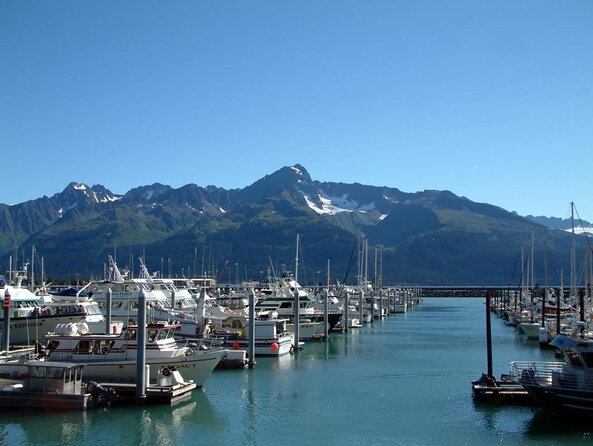 Kenai Fjords and Resurrection Bay Half-Day Wildlife Cruise - Onboard Amenities and Services