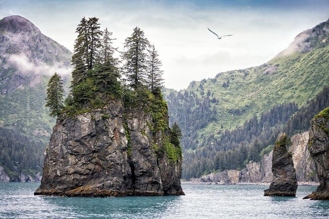 Kenai Fjords National Park Glacier & Wildlife Cruise - Accessibility and Additional Information