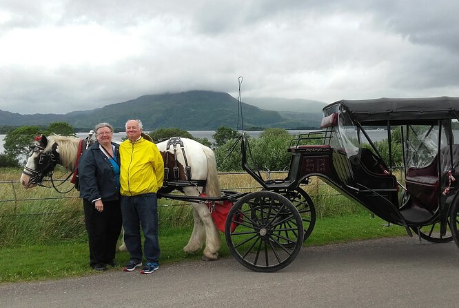 Killarney National Park Tour - Discovering the Breathtaking Scenery