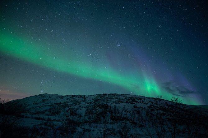 Northern Lights Tour From Kiruna to Abisko With Dinner - Traveler Reviews and Feedback