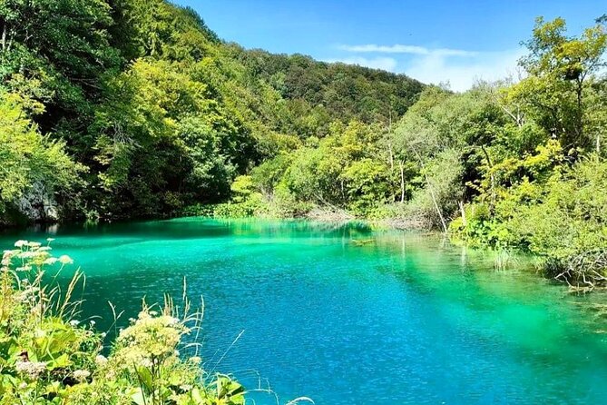 Plitvice Lakes Day Tour From Zadar Simple, Comfortable and Safe - Positive Traveler Feedback and Recommendations