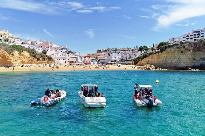 Portimão: Benagil Caves Speedboat Tour - Wildlife Spotting Opportunities