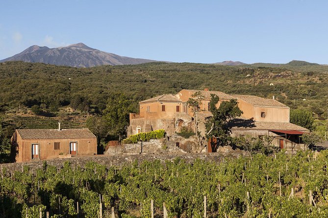 Private 6-Hour Tour of Three Etna Wineries With Food&Wine Tasting - Traveler Feedback and Highlights