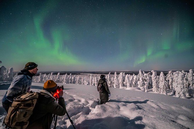 Rovaniemi Northern Lights Photography Small-Group Tour - Group Size and Suitability