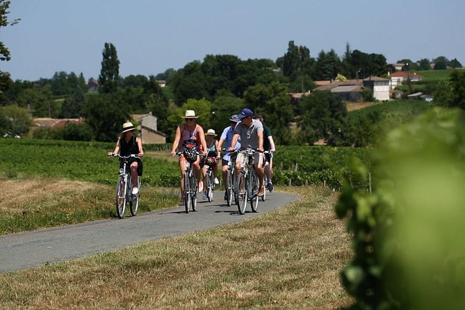 Saint-Emilion Small-Group Electric Bike Wine Tour Tastings & Lunch From Bordeaux - Family-Run Estate Wine Tasting