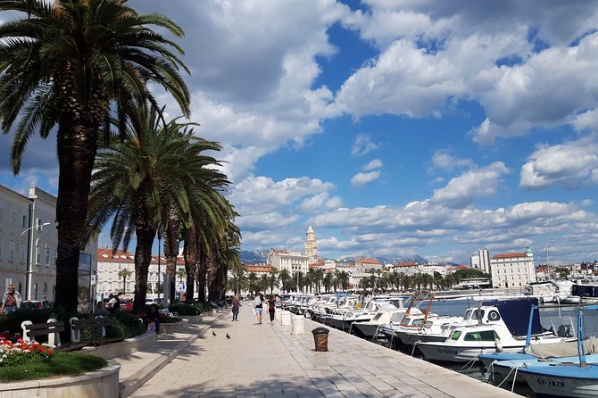 SPLIT-PRIVATE Emperors Walk for History Lovers+Cellars Museum - Knowledgeable and Engaging Guides