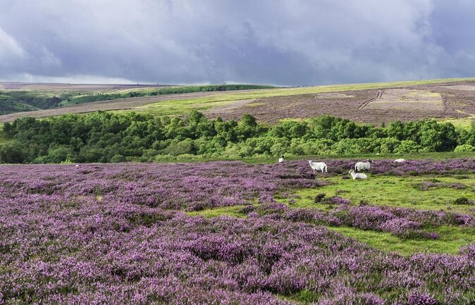 Steam Trains, Whitby, and the North York Moors Full-Day Tour From York - General Tour Information