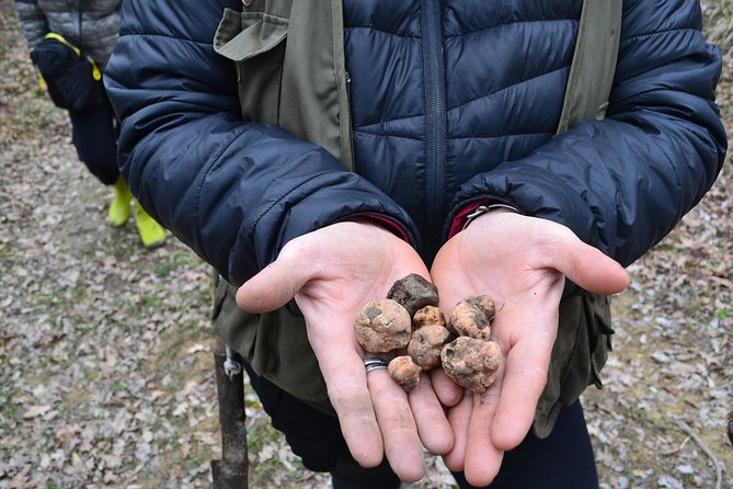 Truffle Hunting Experience With Lunch in San Miniato - Savoring the Truffles in a Family Farmhouse