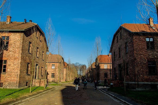 1 Day Auschwitz Birkenau Museum Guided Tour With Hotel Pick up - Traveler Feedback and Recommendations