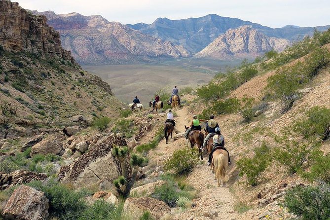 2-Hour Horseback Riding Through Red Rock Canyon - Well-Trained Horses