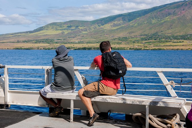 2-Hour Oahu Whale Watch From Ala Wai Harbor, Waikiki - Whale Migration and Behavior