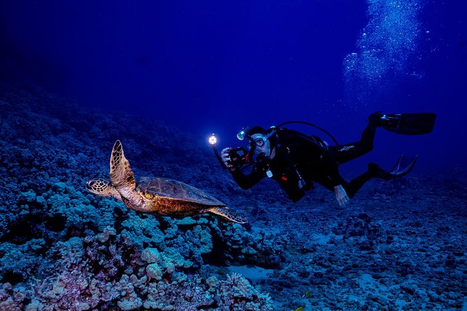 2 Tank Lanai Cathedral Scuba Dive Via Boat for Certified Divers - Dive Site Highlights