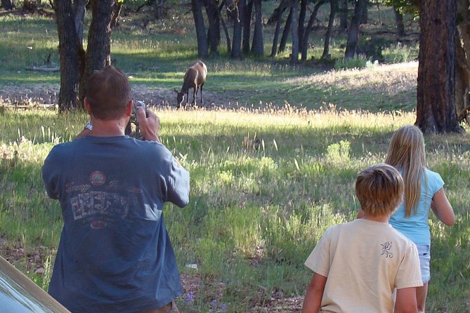 3 Hour Off-Road Sunset Safari to Grand Canyon With Entrance Gate Detour - Customer Feedback and Experiences