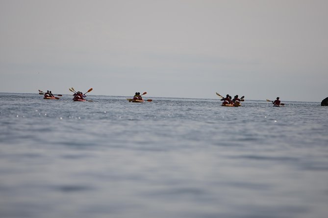 Adventure Dalmatia - Sunset Sea Kayaking & Snorkelling Dubrovnik - Included Equipment and Amenities