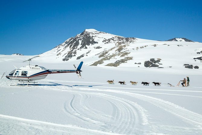 Alaska Helicopter and Glacier Dogsled Tour - ANCHORAGE AREA - Meeting Point and Transportation