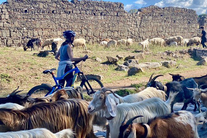 Appian Way on E-Bike: Tour With Catacombs, Aqueducts and Food - Discovering Ancient Roman Aqueducts