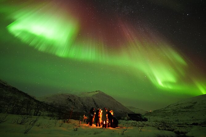 Aurora Tour - Northern Lights Sightings