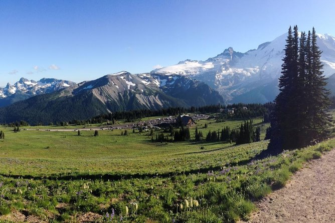 Best of Mount Rainier National Park From Seattle: All-Inclusive Small-Group Tour - Exploring the Wildflower Meadows