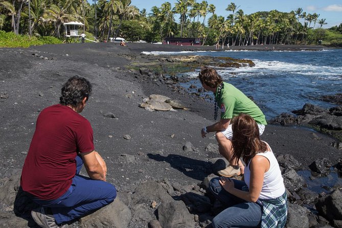 Big Island in a Day: Volcanoes Waterfalls Sightseeing and History - Cascading Waterfalls of the Big Island