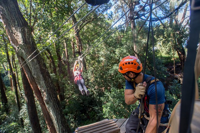 Big Island Kohala Canopy Zipline Adventure - Getting to the Zipline Station