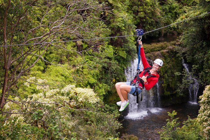 Big Island Zipline Over Kolekole Falls - Customer Experience and Feedback