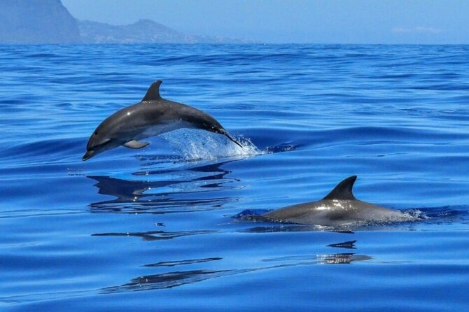 Boat Tour Giardini Naxos Taormina Isola Bella Blue Grotto - Booking and Flexibility