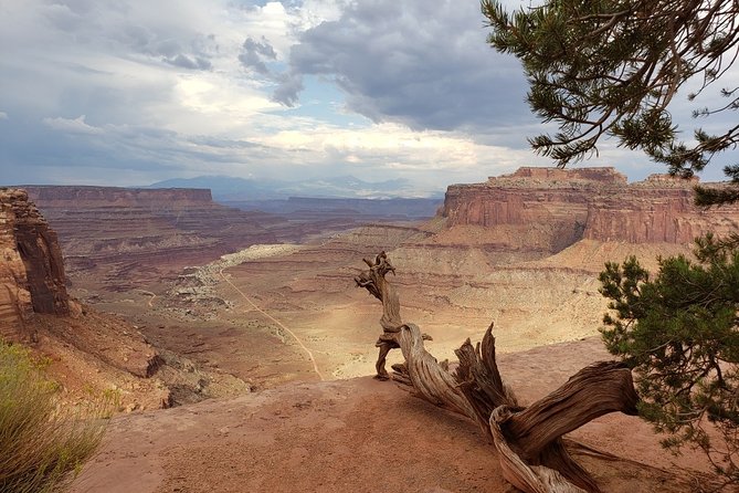 Canyonlands National Park Backcountry 4x4 Adventure From Moab - Navigating the Colorado River Ravines