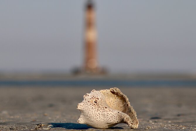 Charleston Eco Boat Cruise With Stop at Morris Island Lighthouse - Accessibility and Meeting Point